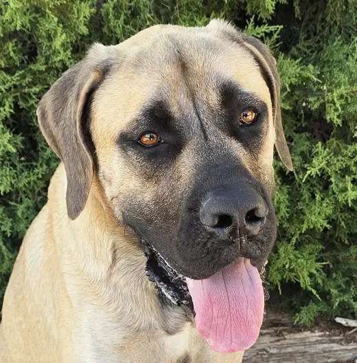 Kissable Mr Kronos ~ SWEET House Gentleman !