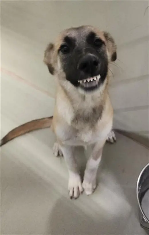 *WINNIE