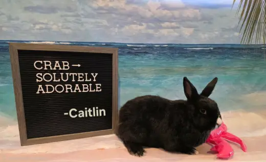 Caitlin