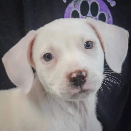 Hope
