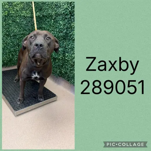 ZAXBY