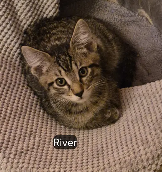 River