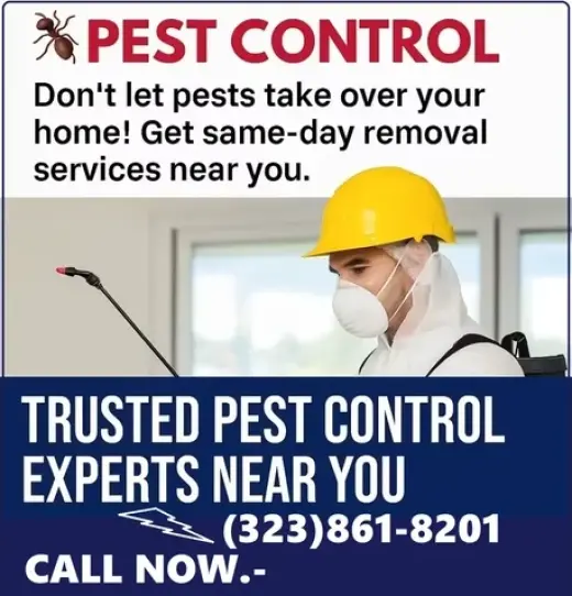 FUMIGACIONES TU HOGAR-NEGOCIOS