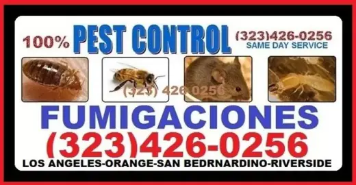 NO LA DEJES ENTRAR A TU CASA.