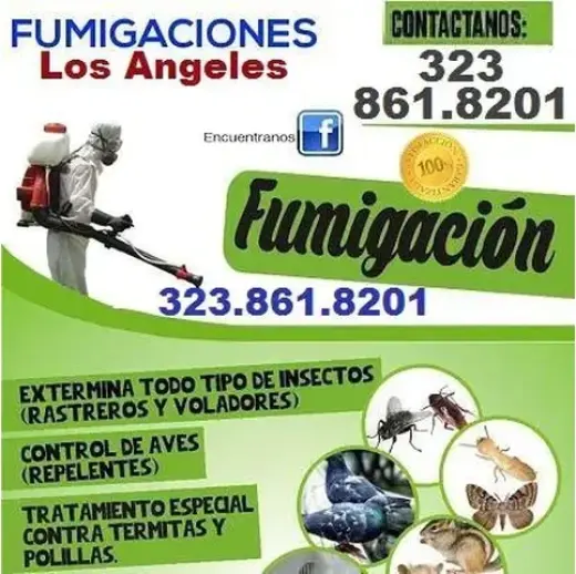 FUMIGACIONES GARANTIZADAS.24/7