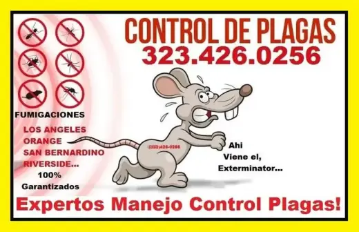 TU HOGAR O NEGOCIO SIN PLAGAS.