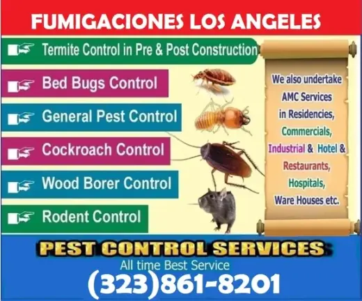 FUMIGACIONES ¡NO MAS PLAGAS!