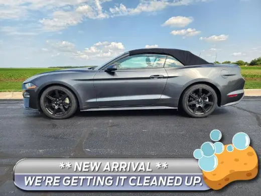 Ford Mustang 2019 EcoBoost Premium Descapotable de 2 puertas
