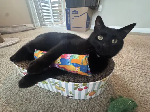 Mr. Tuxy