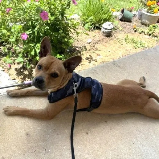 LALA