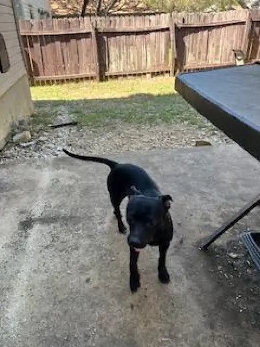 TIMBER