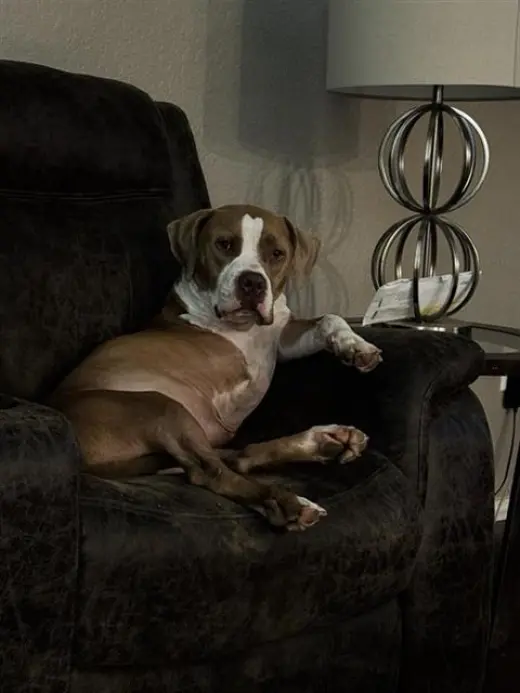 JAX