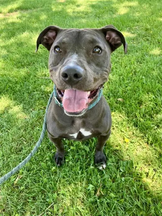 LYLA