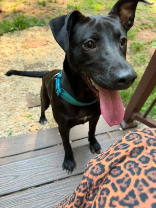Winnie