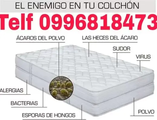 LIMPIEZA DE ASIENTOS Carcelén