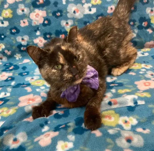 *BONNIE