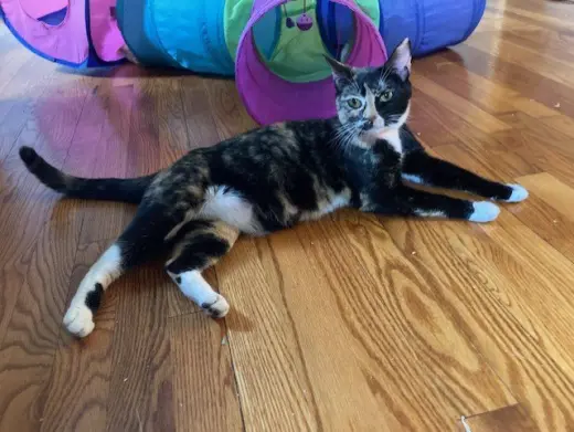 LUNA