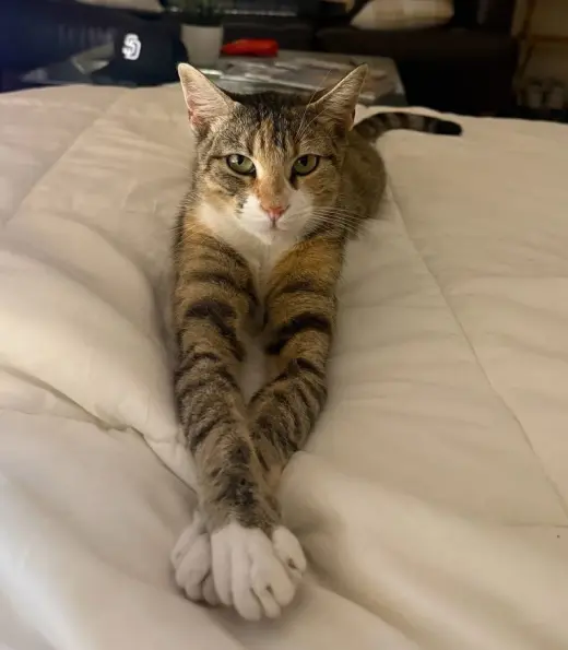 Charlie