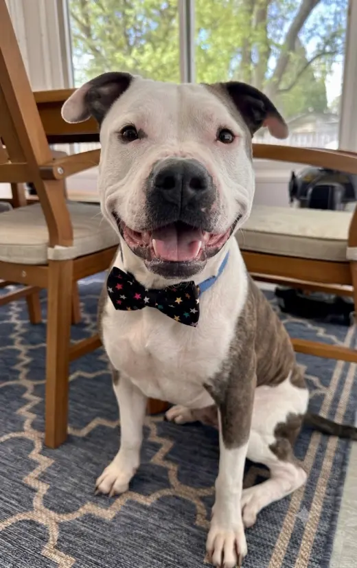 Jax