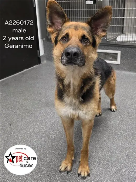 GERONIMO