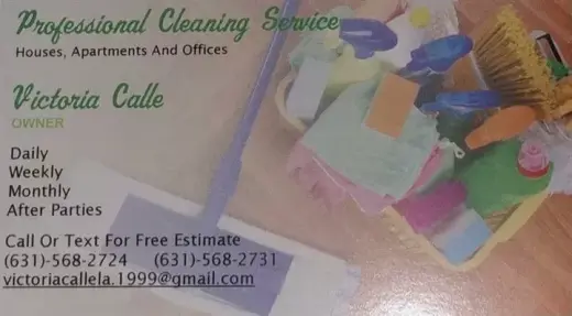 Professional Cleaning Service