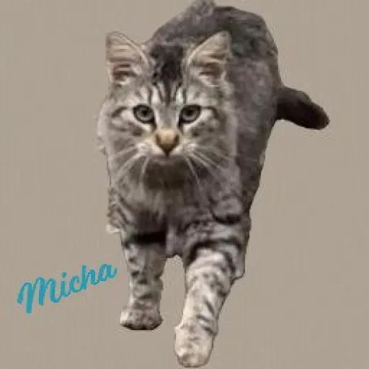 Micha #trusting-&-loving