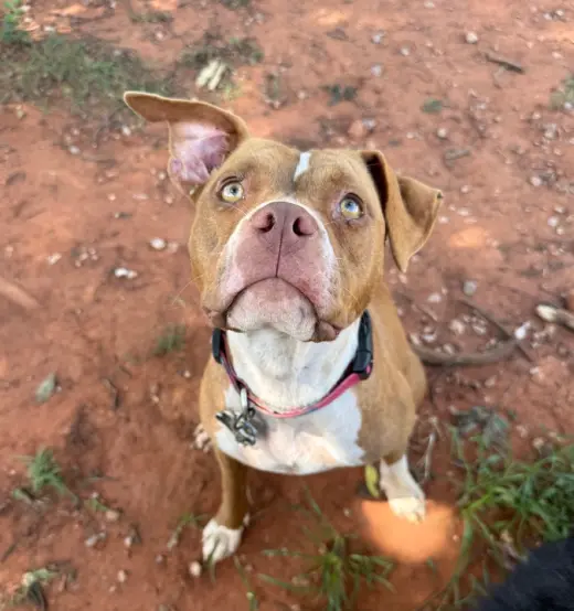 Coco