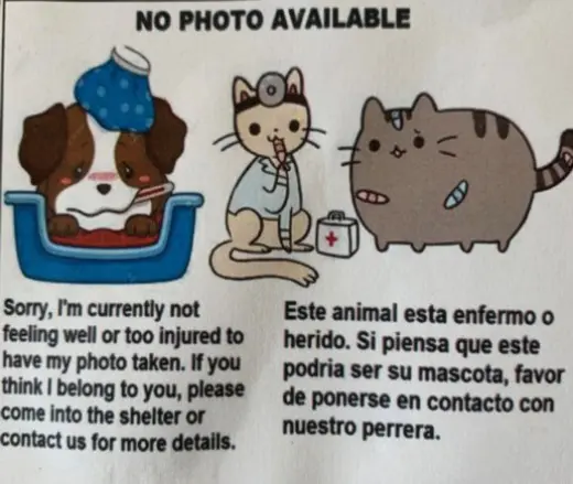 A2282419