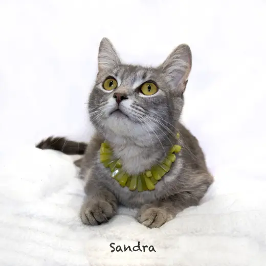 Sandra