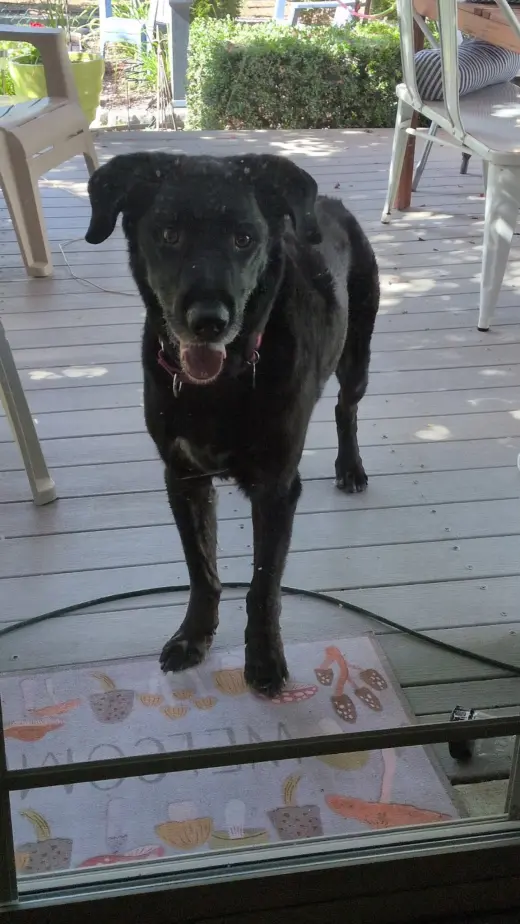 Jake Sr.