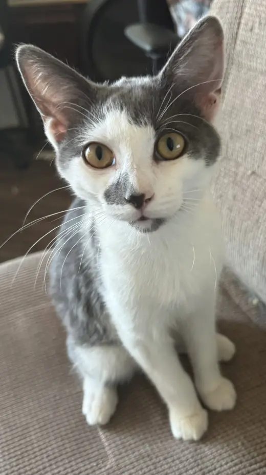 Inkey