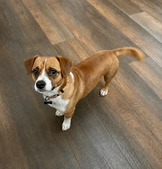 Tucker