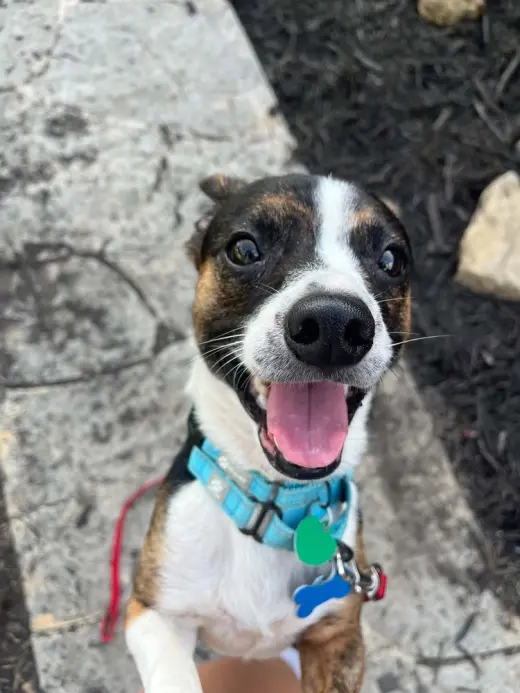 Max