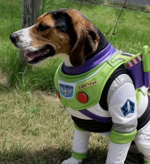 Buzz Lightyear