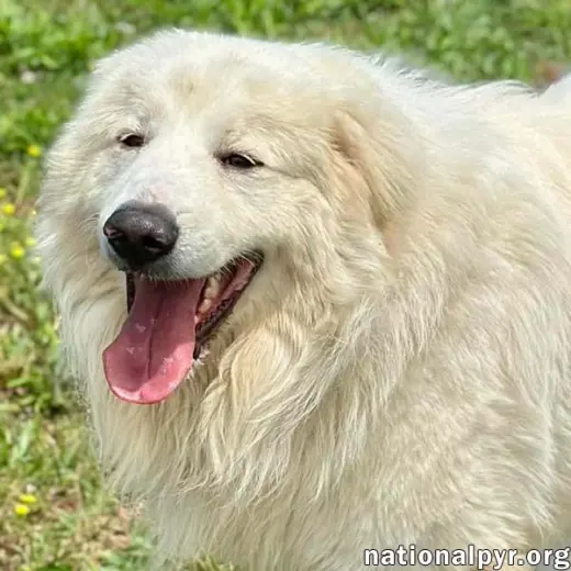 CJ in AL - Outgoing, Playful & Loving!