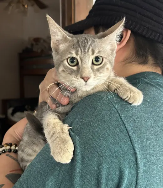 Benny