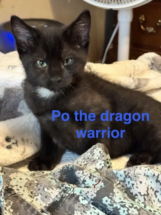 Po