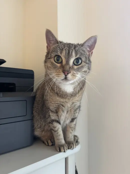Figgy and Luna