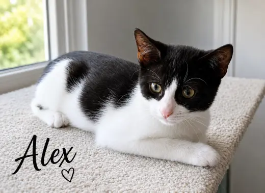 Alex (FCID# 05/20/2026 - 13 West Chester PS)