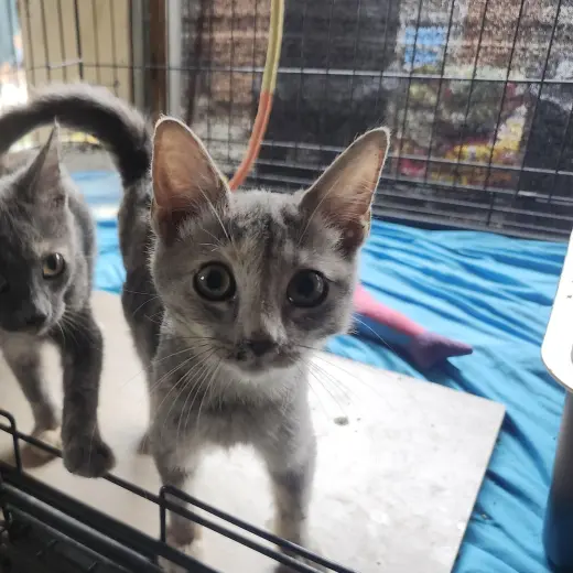 Itsy & Bitsy