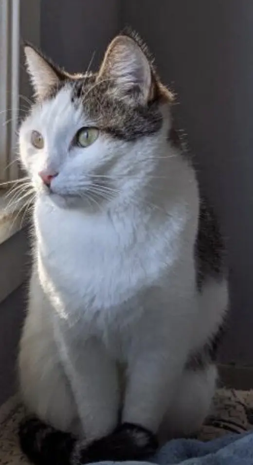 Gertrude