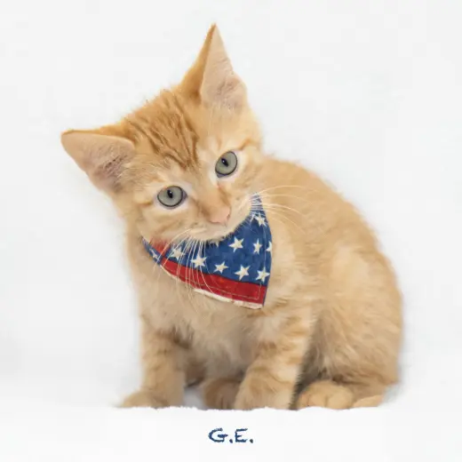 G.E.