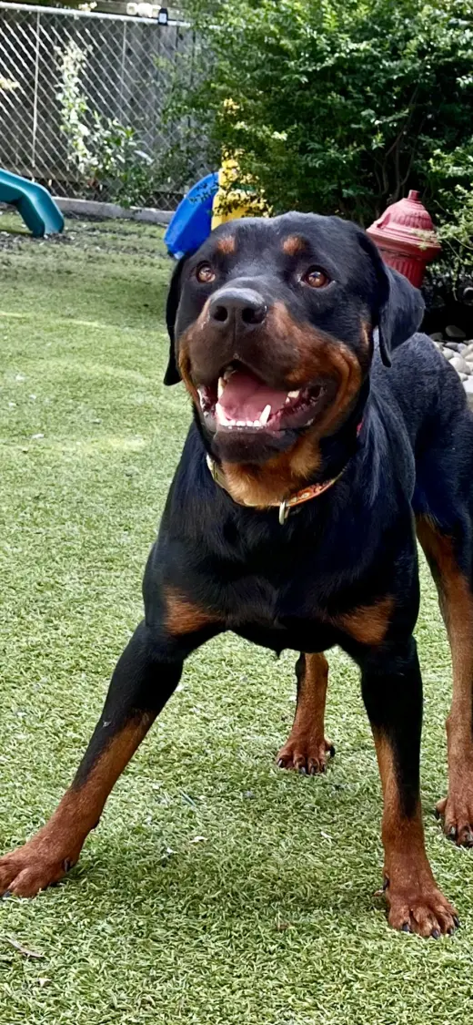 Ben