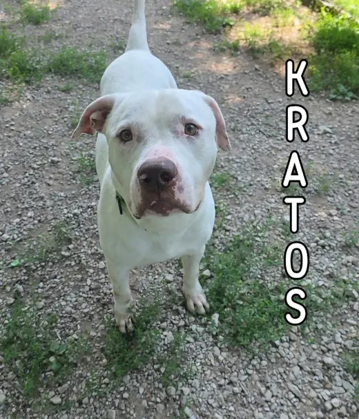 Kratos