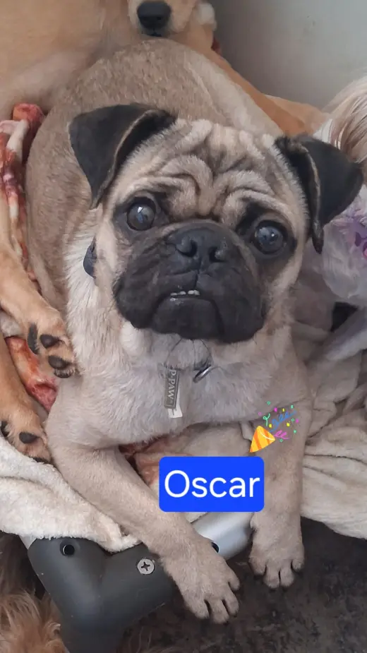 Oscar
