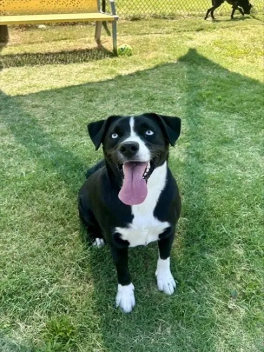 LUCY