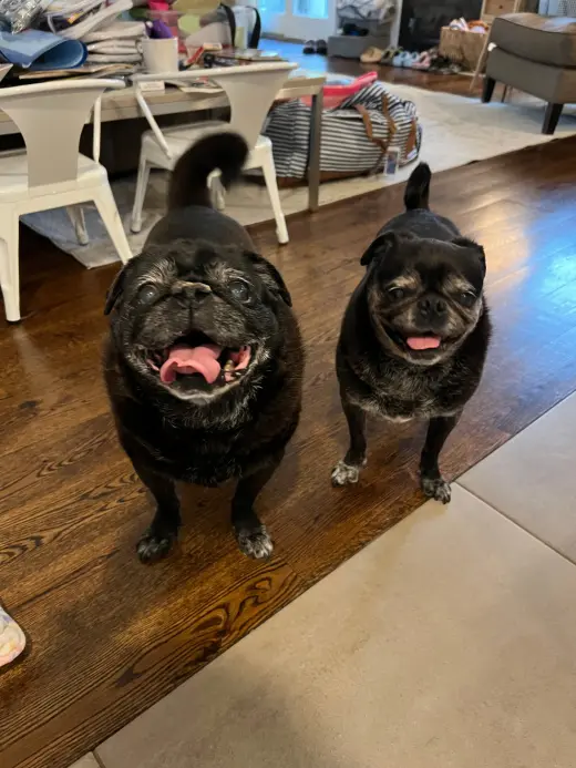 Chloe and Wilma