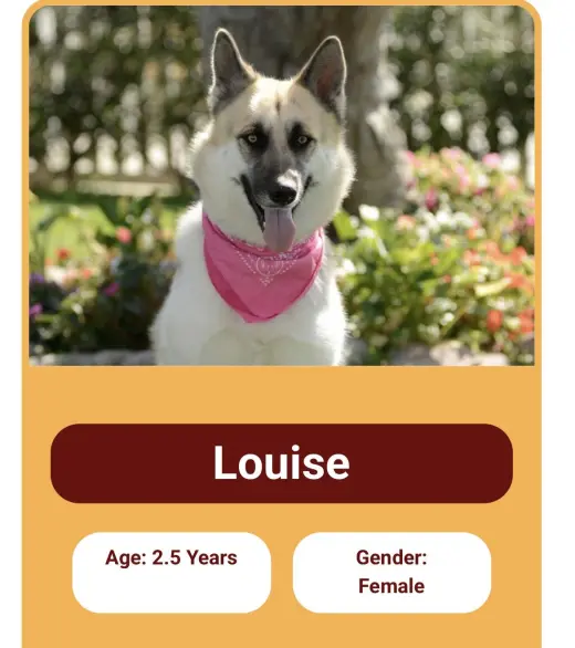 Louise and Thelma Contact Sylva