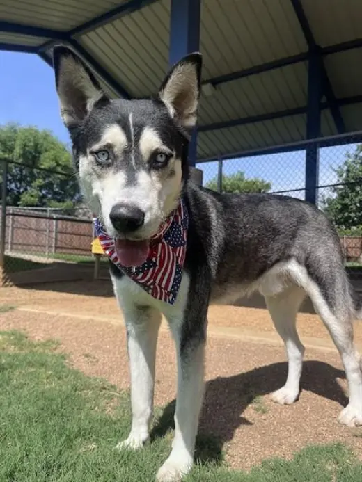 LARAMIE