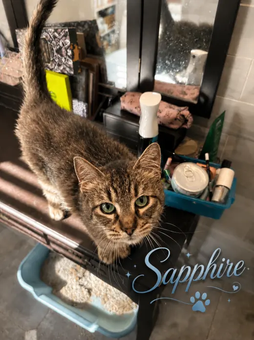 Sapphire (FCID# 05/08/2025 - 21) KDC